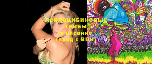 спиды Алексеевка