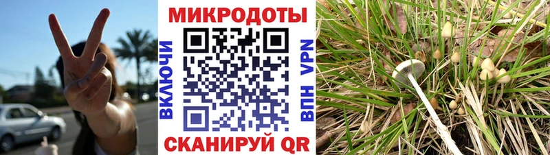 Псилоцибиновые грибы мухоморы  купить  цена  Невьянск 